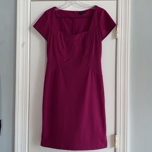 Banana Republic Fuchsia Sheath Dress Princess Neck